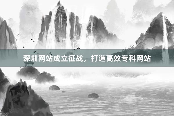 深圳网站成立征战，打造高效专科网站